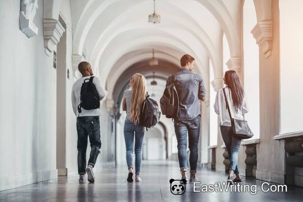 英语不好大学essay不会写？怎样写一篇优秀的大学水平Essay？