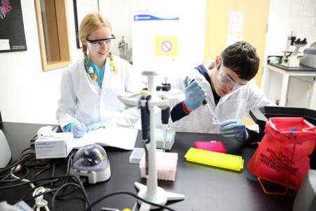 留学生实验报告怎么写？Lab Report的新手入门攻略大全